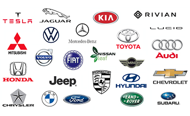 Grouping of Vehicle Manufacturers that sell EVs